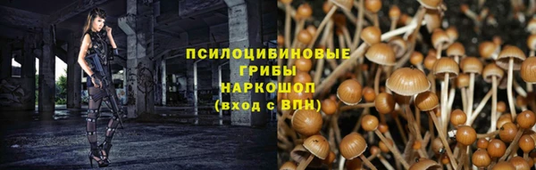 альфа пвп Верхнеуральск