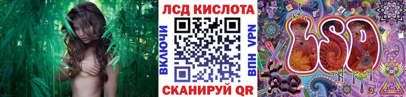 сколько стоит  Партизанск  Марки N-bome 1500мкг 