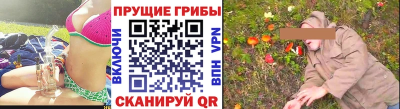 что такое   Партизанск  Псилоцибиновые грибы GOLDEN TEACHER 